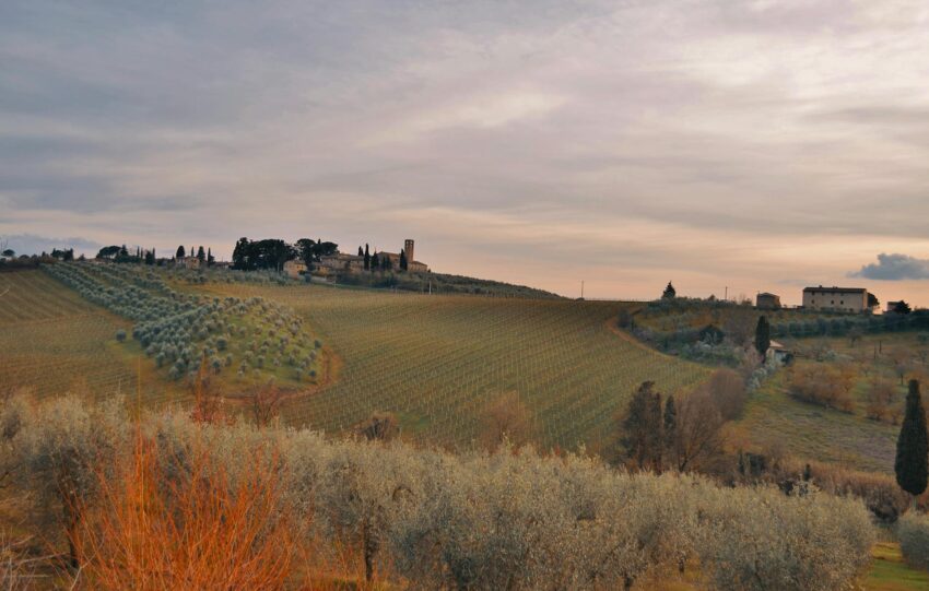 deluxetravelclub_biuro podroży toskania-43_1.jpg